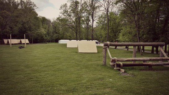 photo courtesy of Steve McCollum