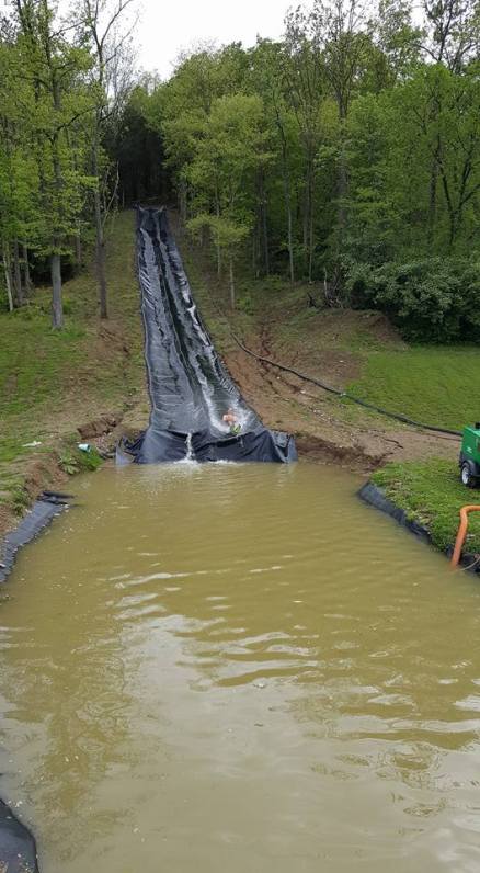 photo courtesy of Steve McCollum